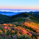 노고단-11 이미지