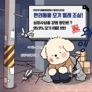 아이펫동물병원 이미지