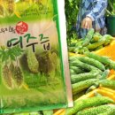 여주-1003 네이버블로그