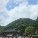 맨즈클럽 포항해병대점 | 명산100+ 포항 [운제산 정상]다시 가도 새로운 게 산의 매력이다
