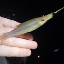 한계리낚시터 이미지