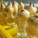 아람과학사 이미지