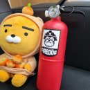 파이어독 | 파이어독 차량용 소화기 구매 및 설치 후기