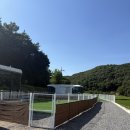 반려견과 떠나는 감성 캠핑 | 공주 우주라이크 카라반