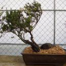 대청농원 이미지