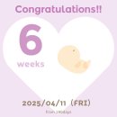 [신혼] 임신 5-12주차 기록/ 임밍아웃✨👼🏻