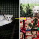 지은농장 이미지