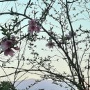 당두공원 이미지