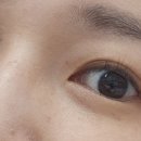 안경나라사창점 위드렌즈 네이버블로그