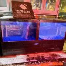 꿈돈168(모현점) 이미지