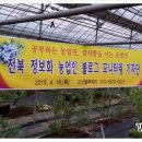 최재근 농장 네이버블로그