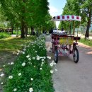 민들레울 이미지