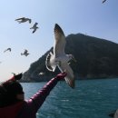 태원 유람선선착장 입구 이미지