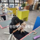 신세계미용 이미지