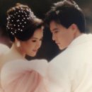 최수종 카카오 검색결과