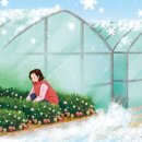 대비농장2 이미지