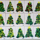 그린독 | 하남 미사 애견 유치원 퍼시독 내돈내산 후기 (다양한 활동편)