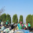 대흥리마을 이미지