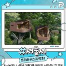 안경판다 이미지