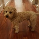 순덕민박 이미지