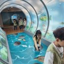 다송어린이집 이미지