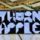 나의바다 | 쏜애플, 바다와 구름과 무대 뉴비 지정석 후기 : 올라가 볼까, 나의 무덤에