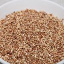 수수국수 이미지