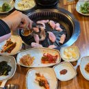 숙자매도시락 이미지