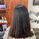 보보스헤어 이미지