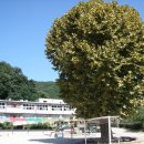 만선초등학교 이미지