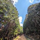 팔영산자연휴양림 이미지