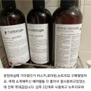 오가닉셀(주) 이미지