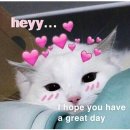 41. Have A Nice Weekend Singie 💝🐰💖 이미지