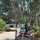 금곡면 | 진주 현지인 맛집 백세콩전문점 콩국수 내돈내산 후기