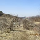 산방마을 농로 이미지