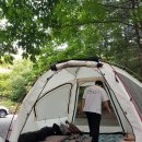 그린농원식당 이미지