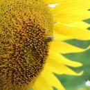 구와우농장 이미지