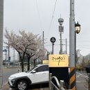 나리어린이집 | 양주 고삼로 디저트 카페 추천 더나리 수제 떡 케이크