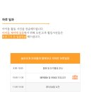 놀러오개 애견 유치원 애견 호텔 이미지