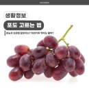 리아이성형외과의원 네이버블로그