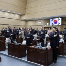 295 이미지
