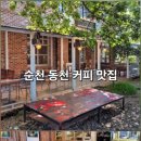 베니샤프커피(본점) 네이버블로그