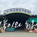 중앙청과 | 부산 반여동 과일 도매 소매 농산물 시장 중앙청과