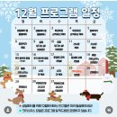 해뜨는유치원 | 옥정 애견 유치원 해뜨는댕 강아지 유치원 호텔 등원 후기