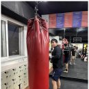 대한체육관 이미지