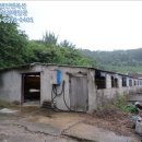 용흥리축사 네이버블로그