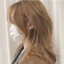 에이바헤어배곧점 네이버블로그