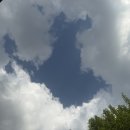 나루터로10길 24 | 7-8월 먹은 것들,