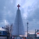 2017년 경주기독교연합회 크리스마스트리 점등식 이미지