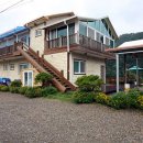 강여울 숲 이미지